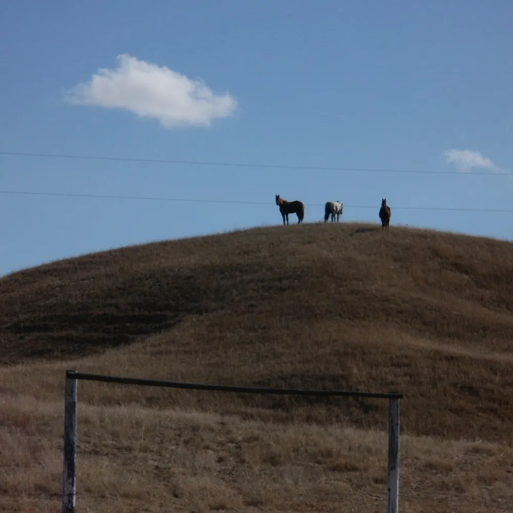 per-newton.bsky.social's profile picture