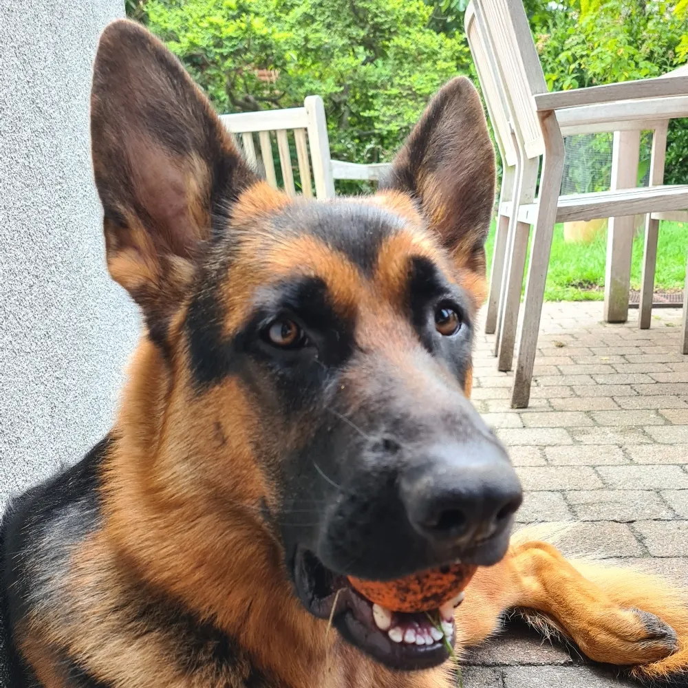 the99pct.bsky.social's profile picture