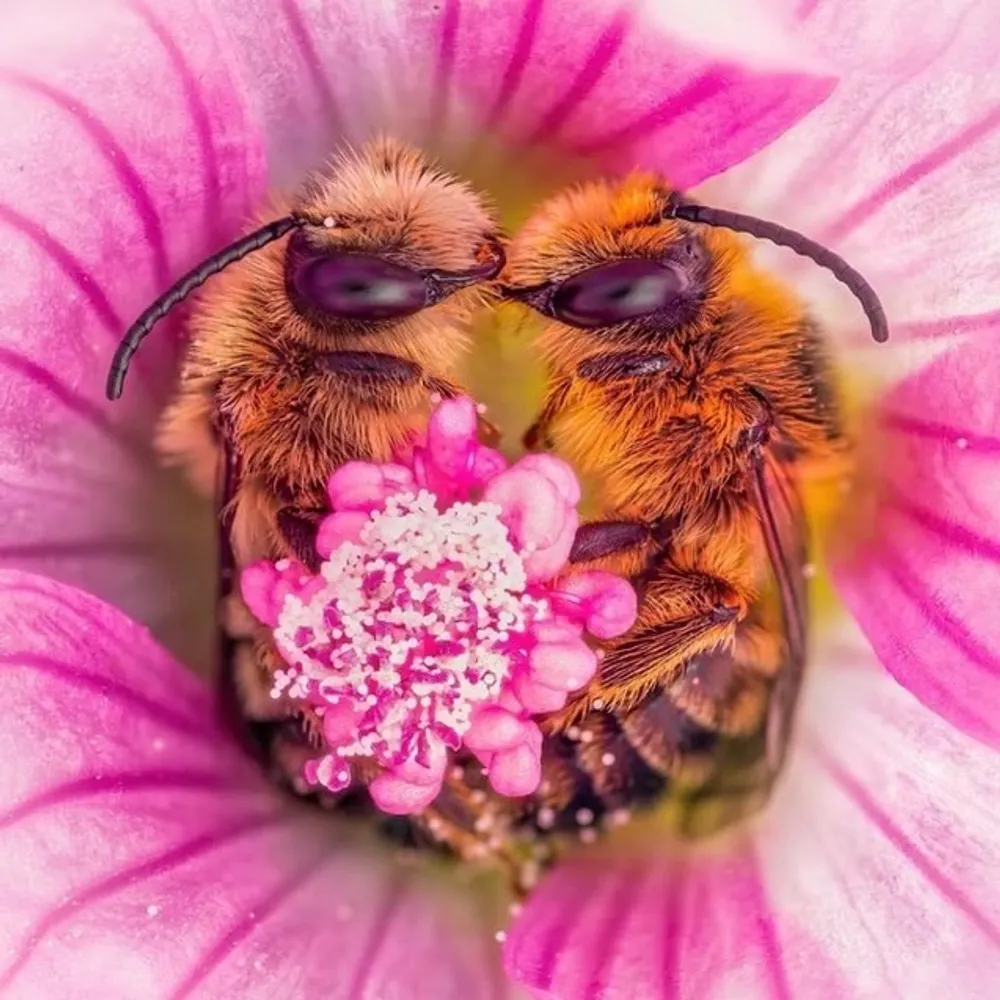 pamelajustice.bsky.social's profile picture