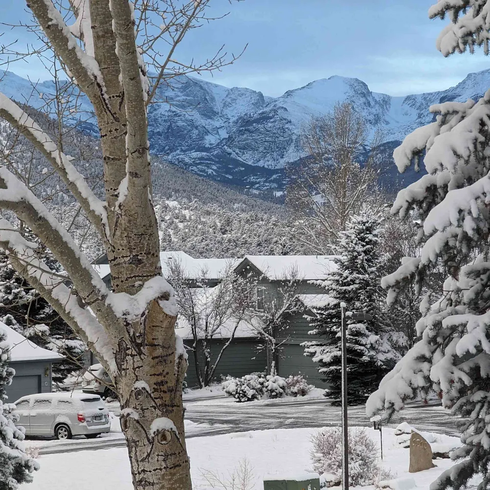 maddog5.bsky.social's profile picture