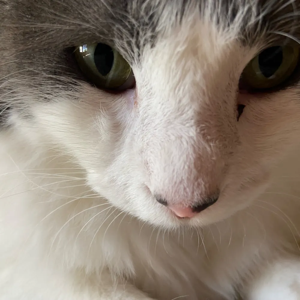 notyermomma.bsky.social's profile picture