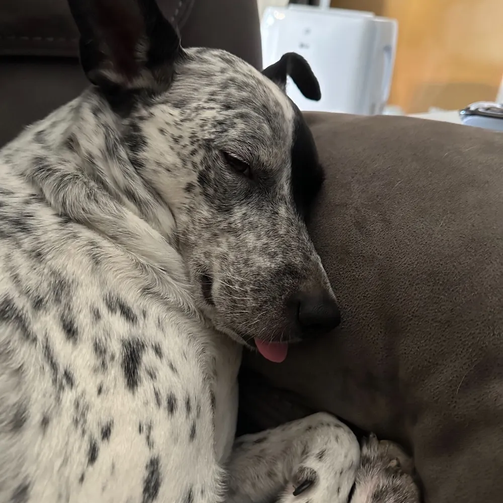 blinkndash.bsky.social's profile picture