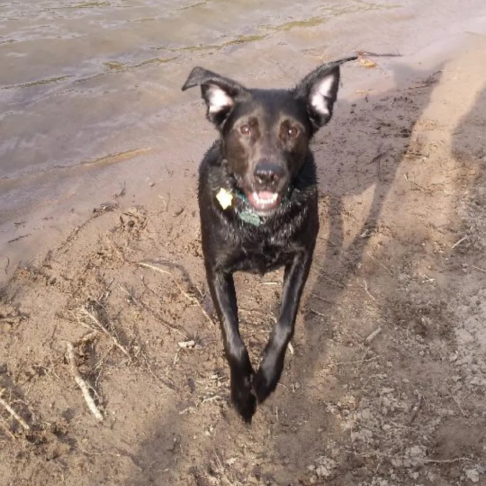 chbarts.bsky.social's profile picture