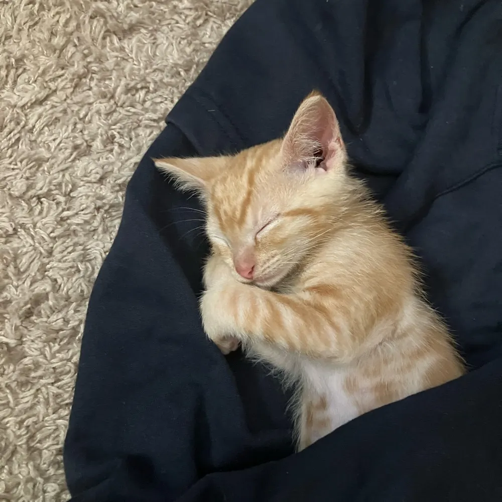 cjfuego98.bsky.social's profile picture