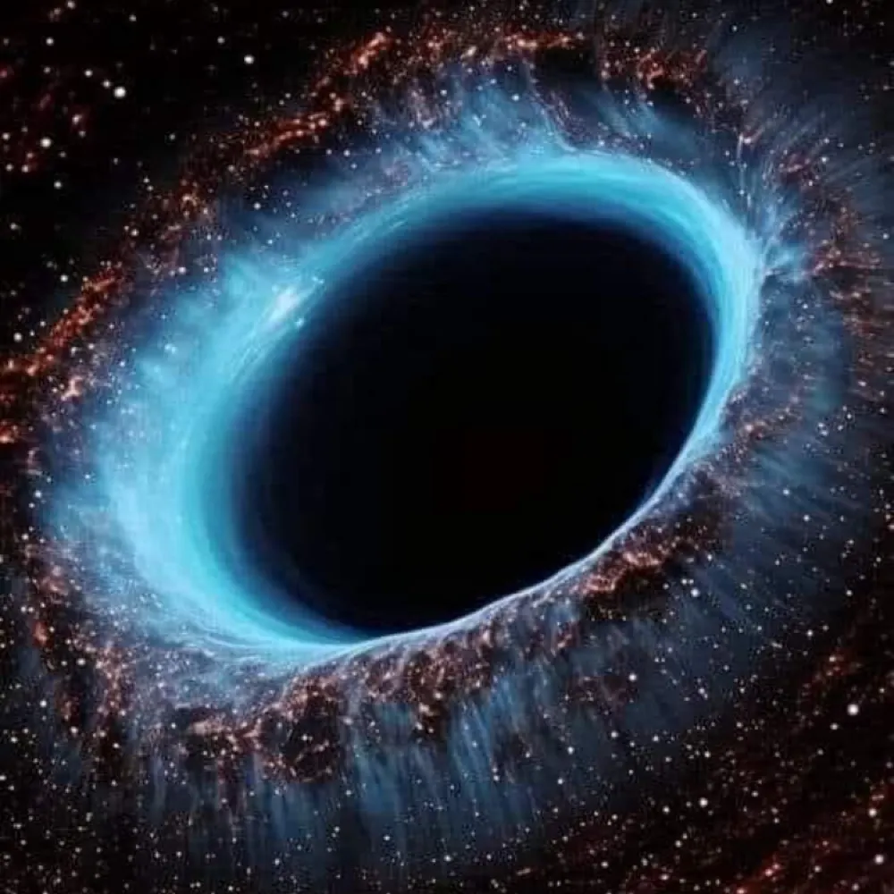 speakup11.bsky.social's profile picture