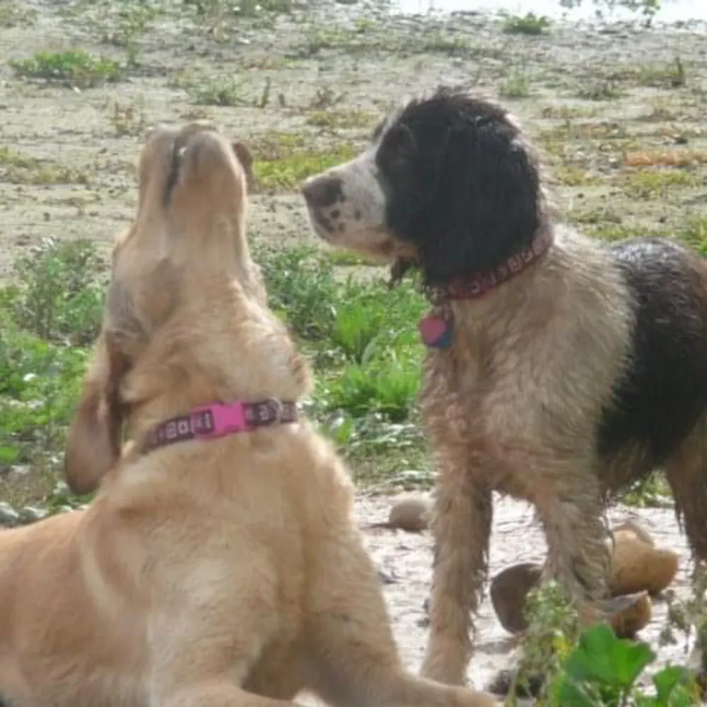 kathybeach.bsky.social's profile picture