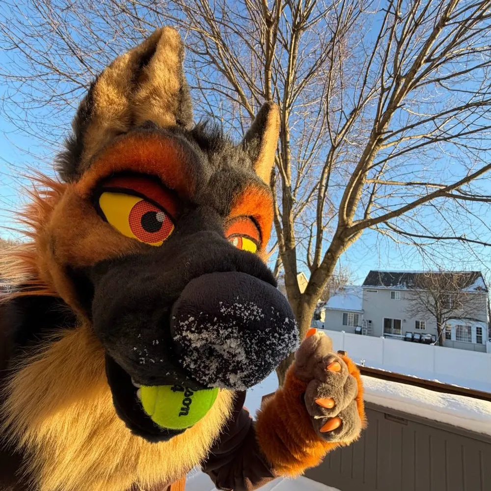 captainkingsley.bsky.social's profile picture