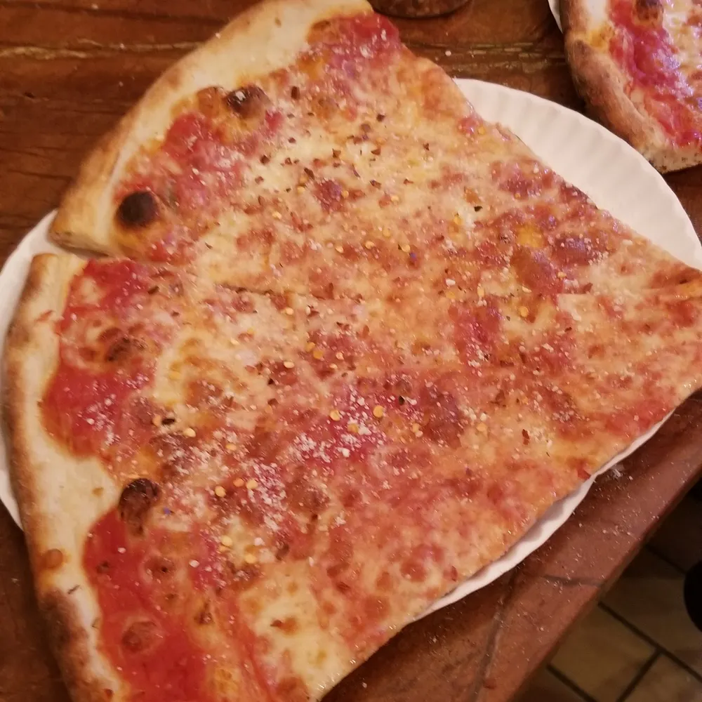 dino-enthusiast.bsky.social's profile picture