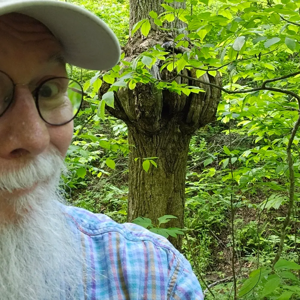 bobstep.bsky.social's profile picture