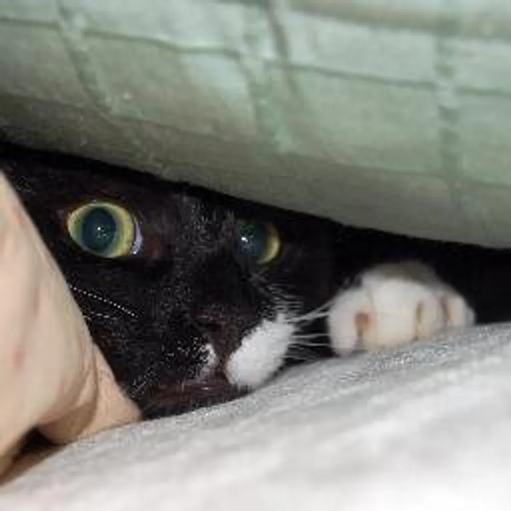 mrsnettles.bsky.social's profile picture