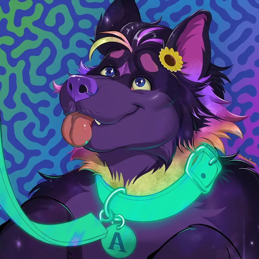 majorisatlas.bsky.social's profile picture