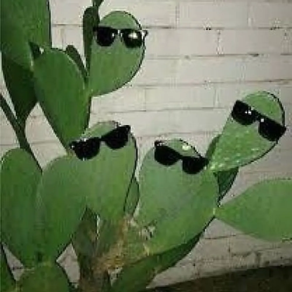 ensgdt.bsky.social's profile picture