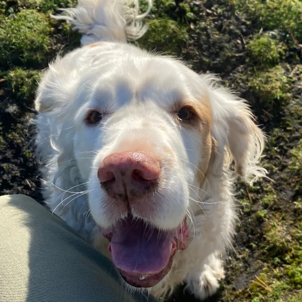 onebiskuit.bsky.social's profile picture