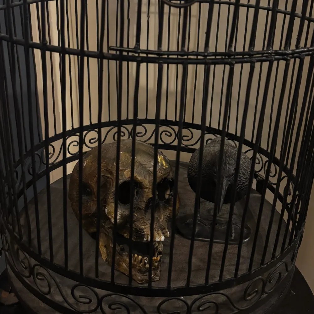 andyfagottini.bsky.social's profile picture