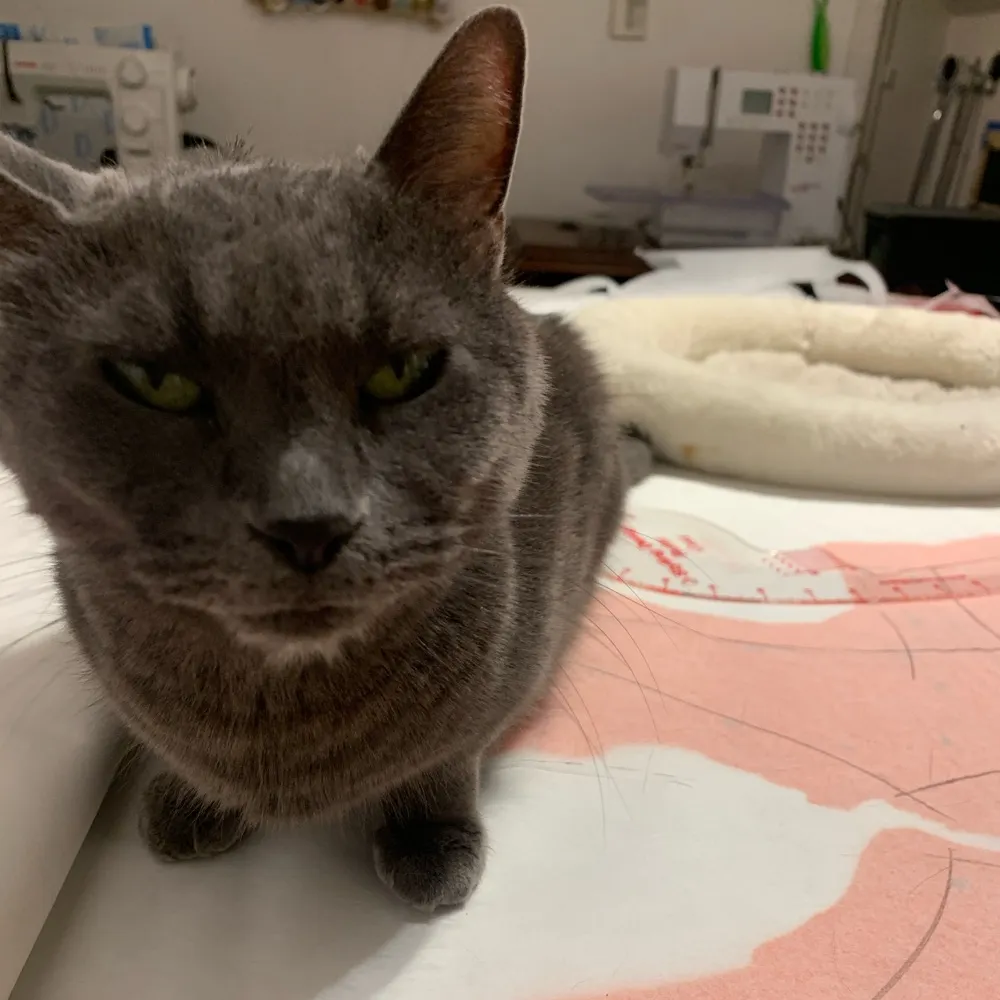 costumercollective.bsky.social's profile picture