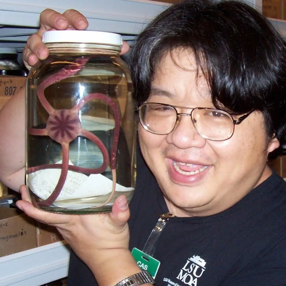 echinoblog.bsky.social's profile picture