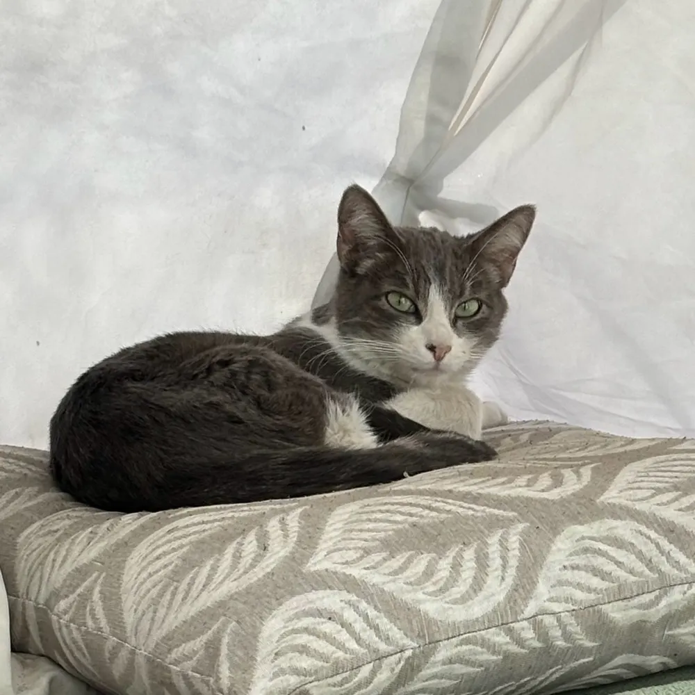 missboots.bsky.social's profile picture