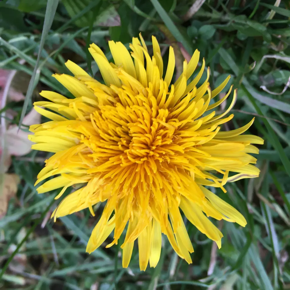 hiti75.bsky.social's profile picture