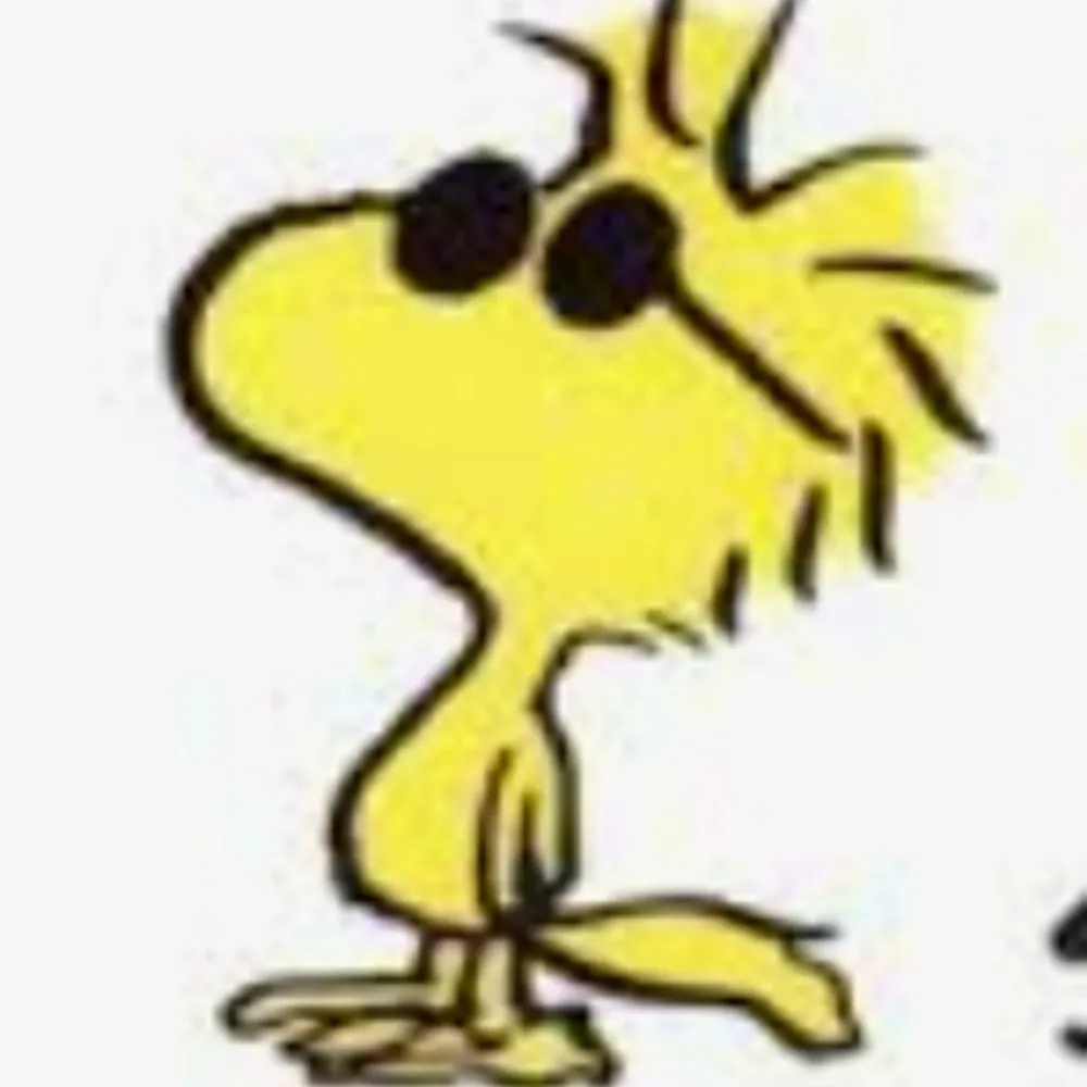 consbegone.bsky.social's profile picture