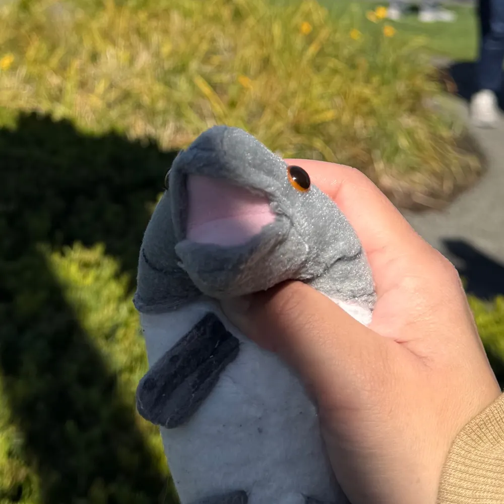 liverwurst.bsky.social's profile picture