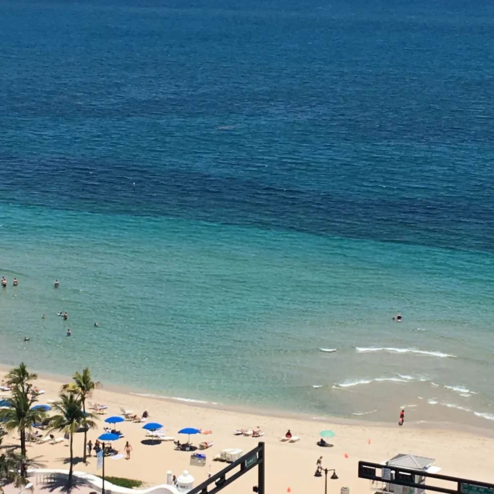 canadiian.bsky.social's profile picture