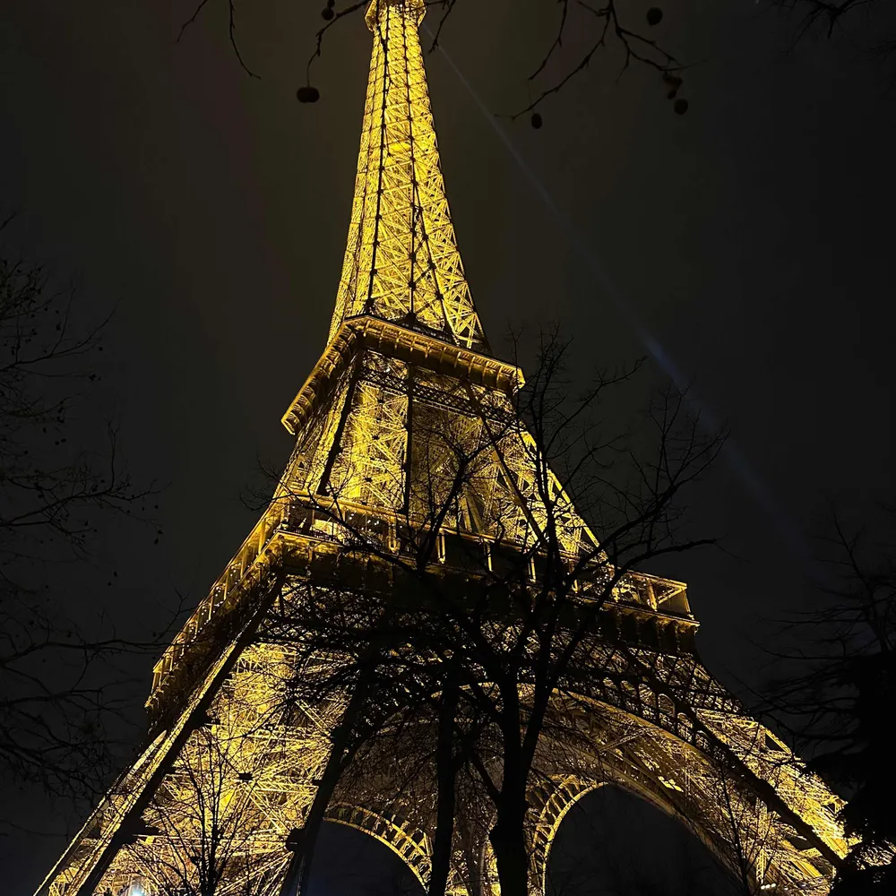 jnpecoraro.bsky.social's profile picture