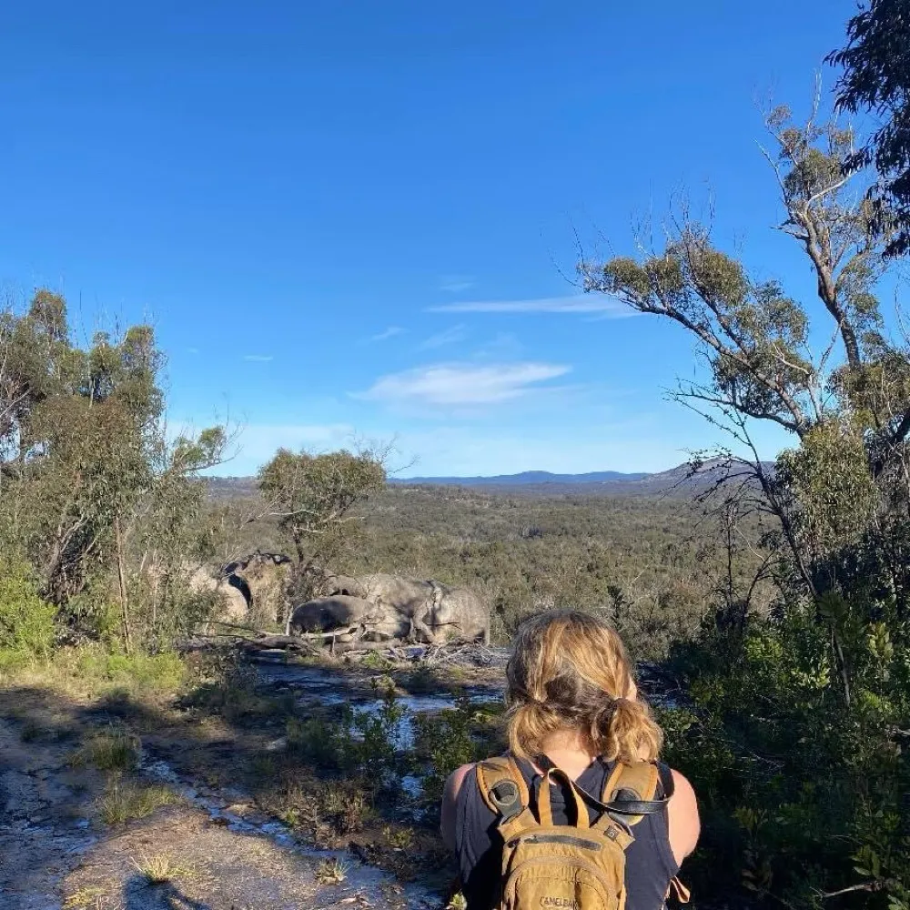 farmerfox.bsky.social's profile picture