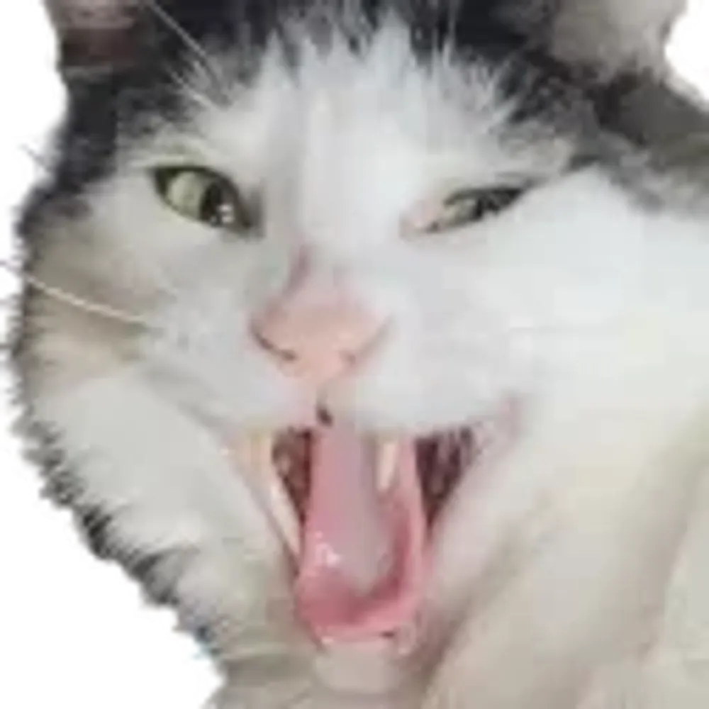 bowzasaurusrex.bsky.social's profile picture