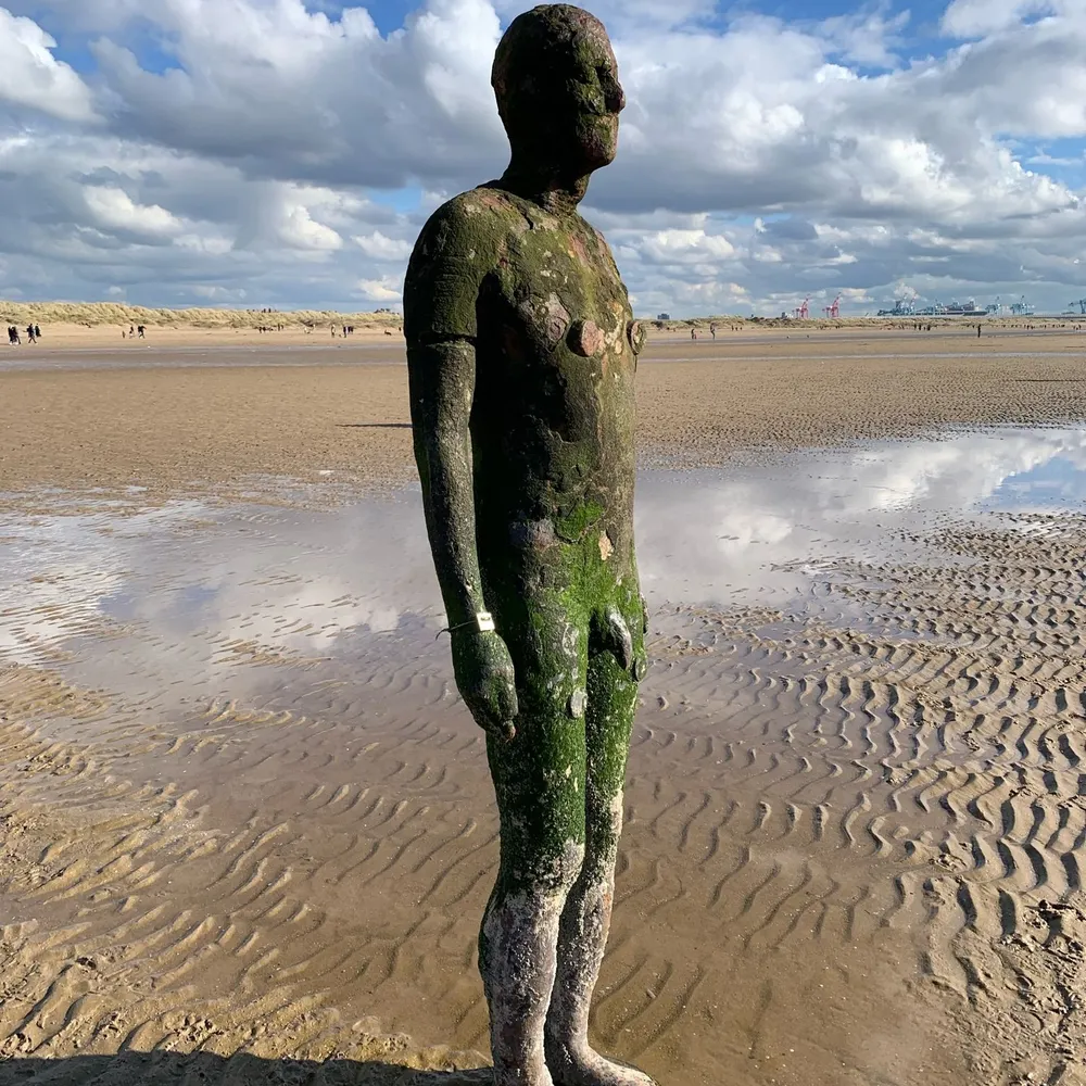 howsie.bsky.social's profile picture