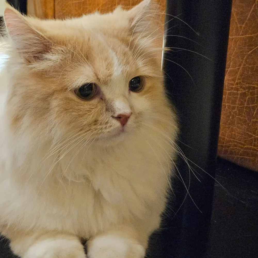 vicmanz.bsky.social's profile picture