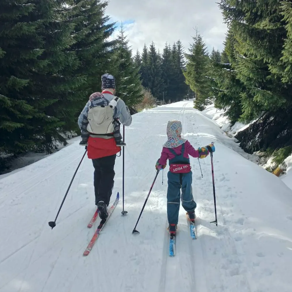 modrakm.bsky.social's profile picture