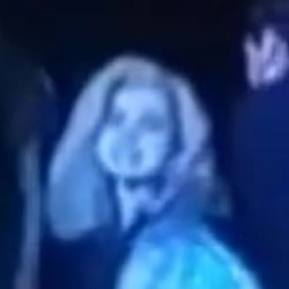 sonnezerfall.bsky.social's profile picture