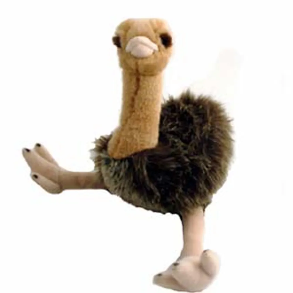 dasemu.bsky.social's profile picture