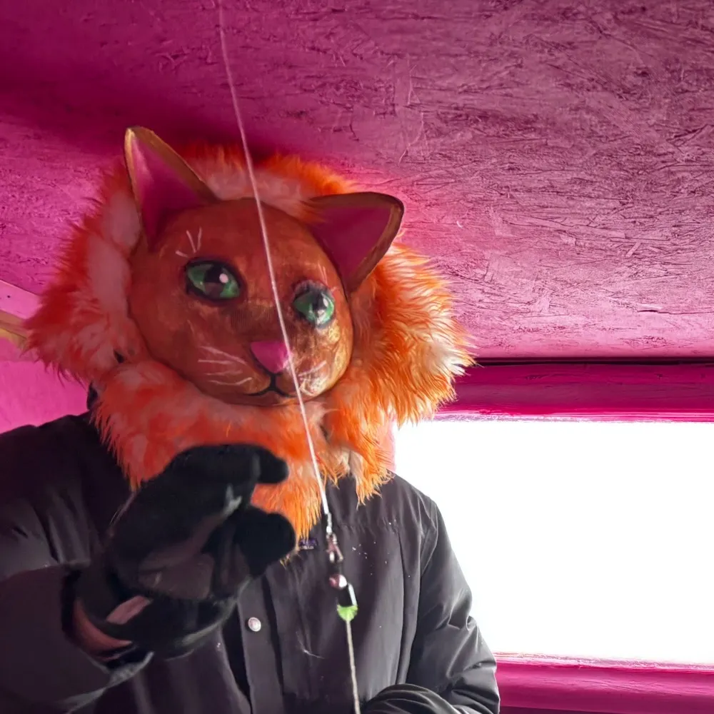 walkingminnesota.com's profile picture