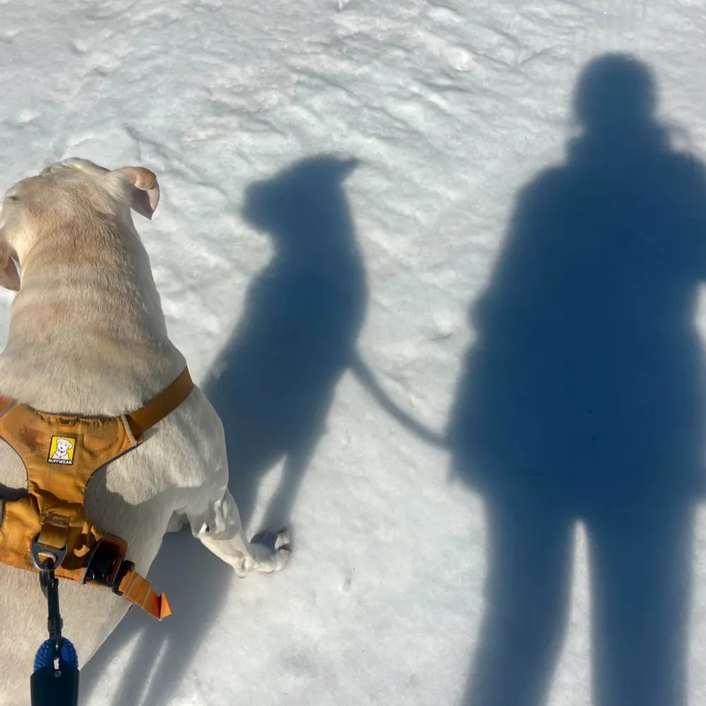 readingtrees.bsky.social's profile picture