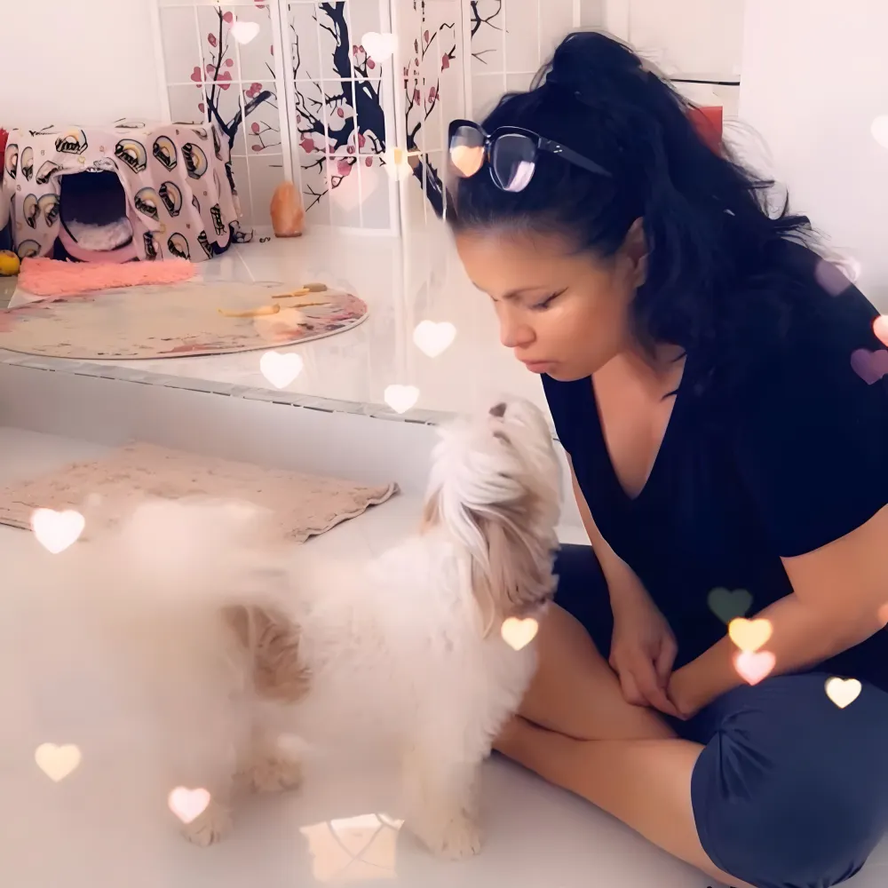 halostarmusic.bsky.social's profile picture