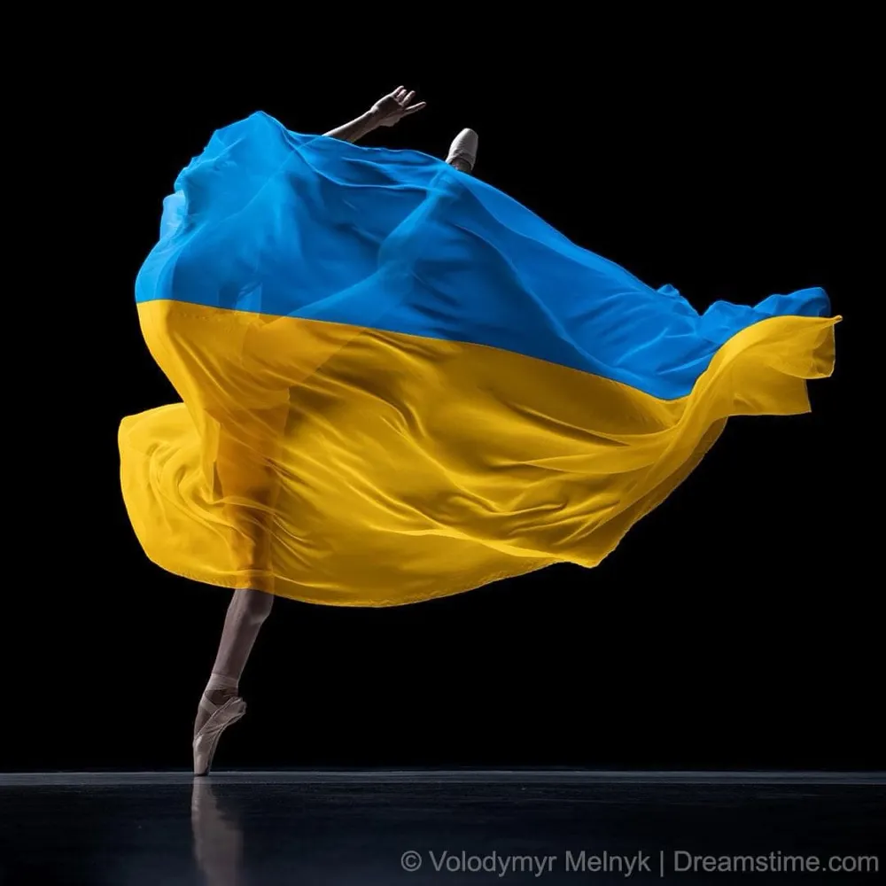 catjingle-withab.bsky.social's profile picture