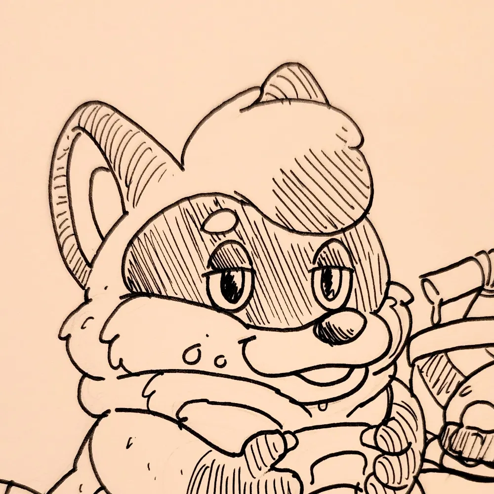 aquaraccoon.bsky.social's profile picture