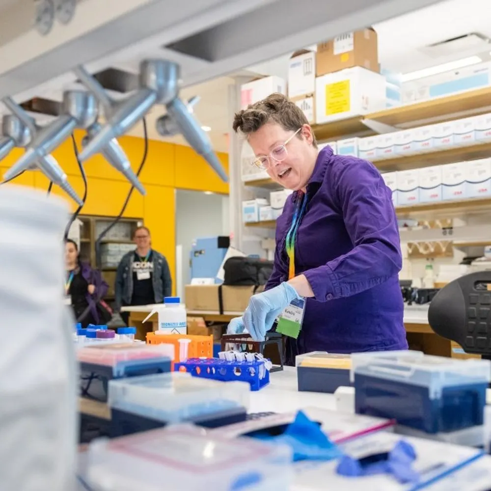 dnakendra.bsky.social's profile picture