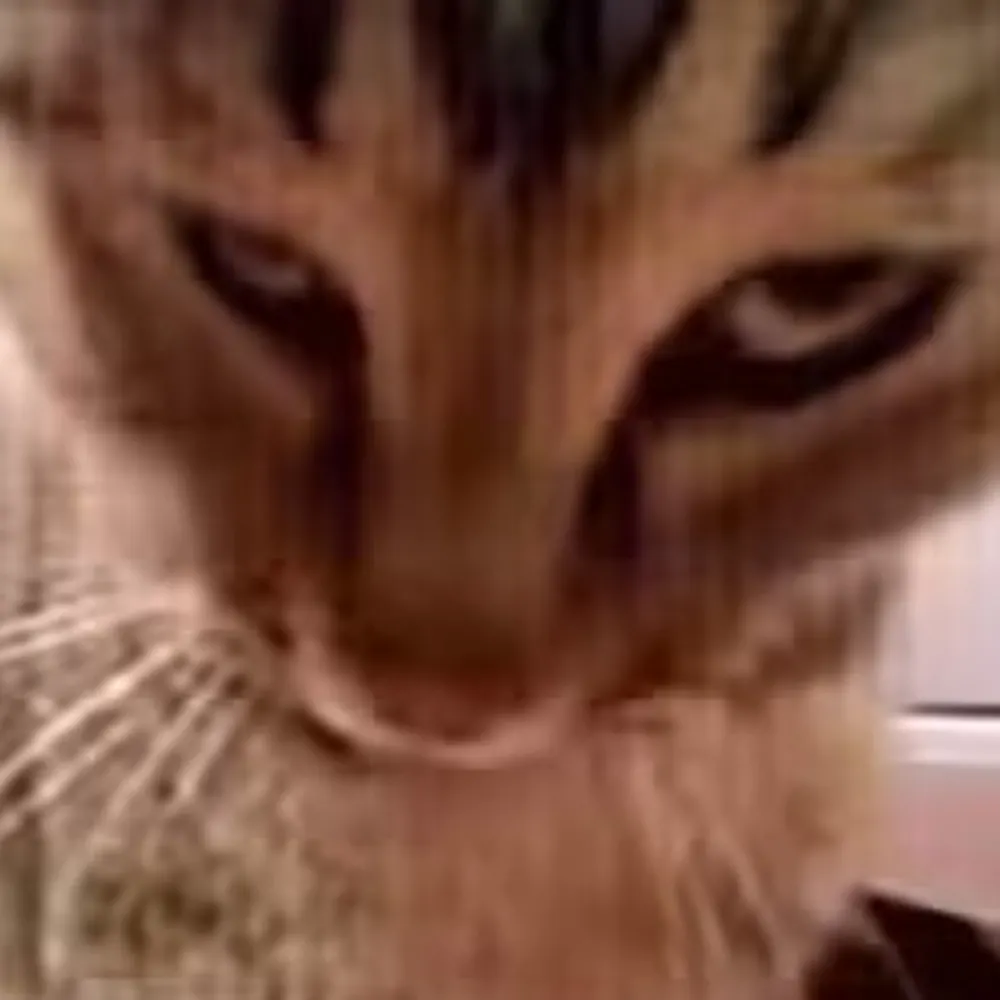 ohheythatfisher.bsky.social's profile picture