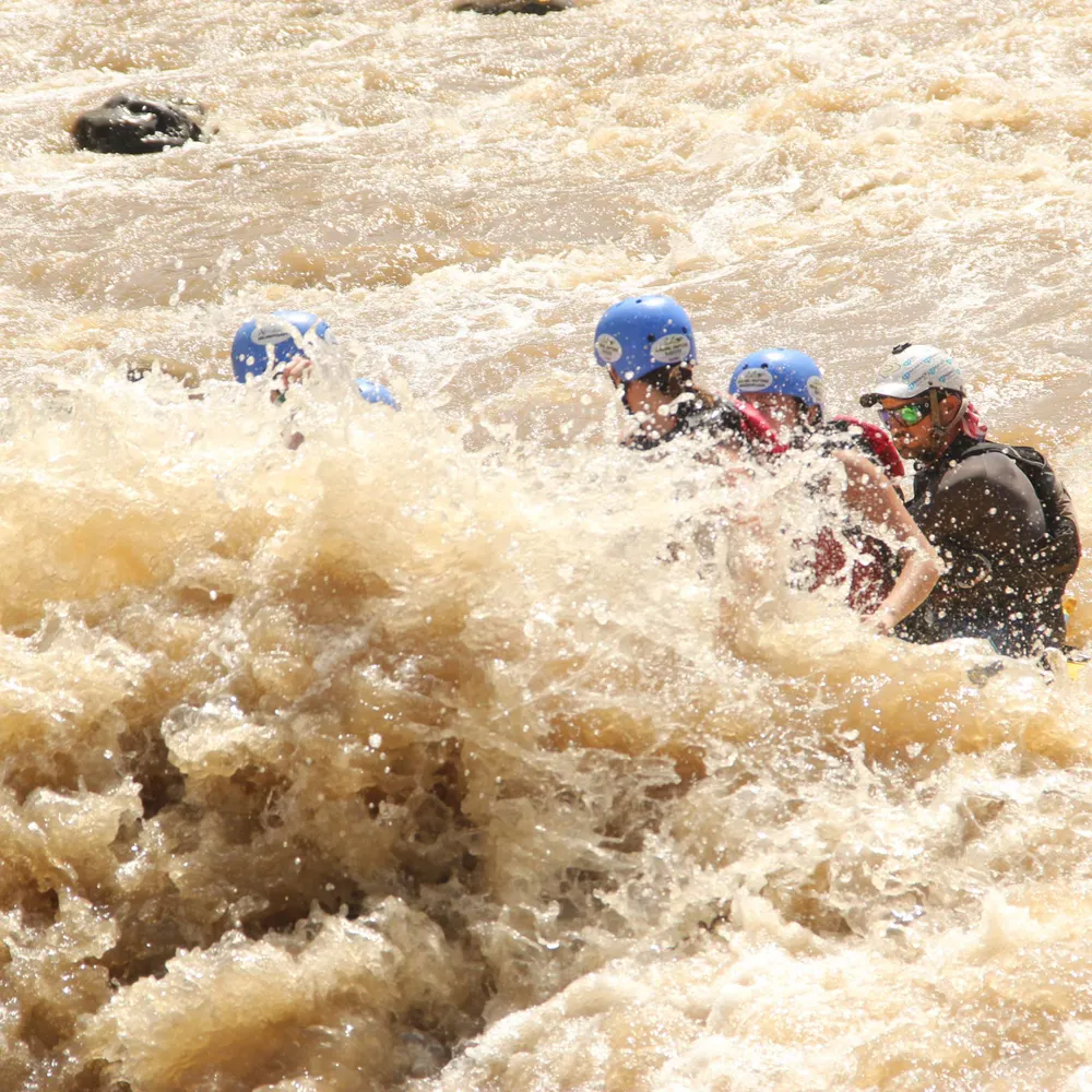 thenamesjane.bsky.social's profile picture