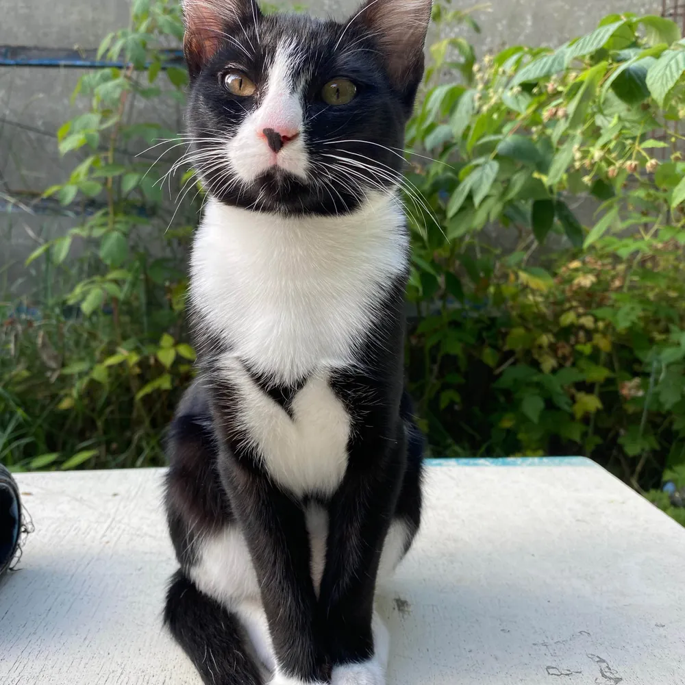 therealbugs.bsky.social's profile picture