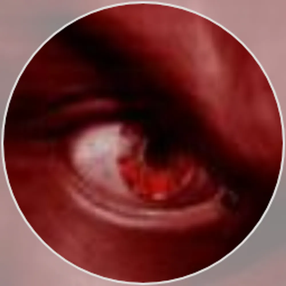 algux.bsky.social's profile picture