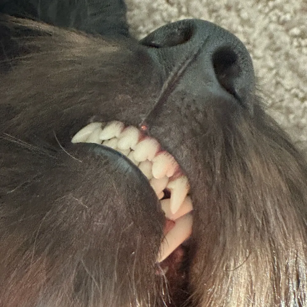 backned.bsky.social's profile picture