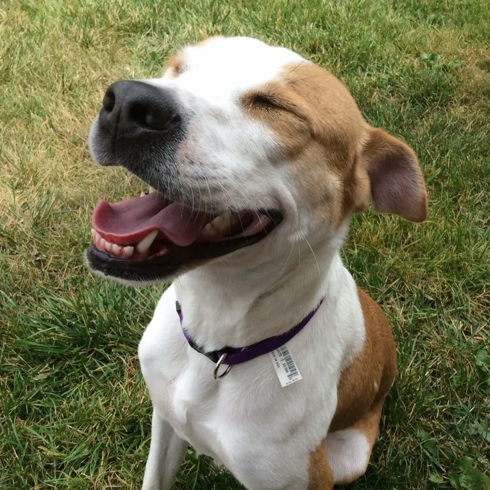 giggles708.bsky.social's profile picture