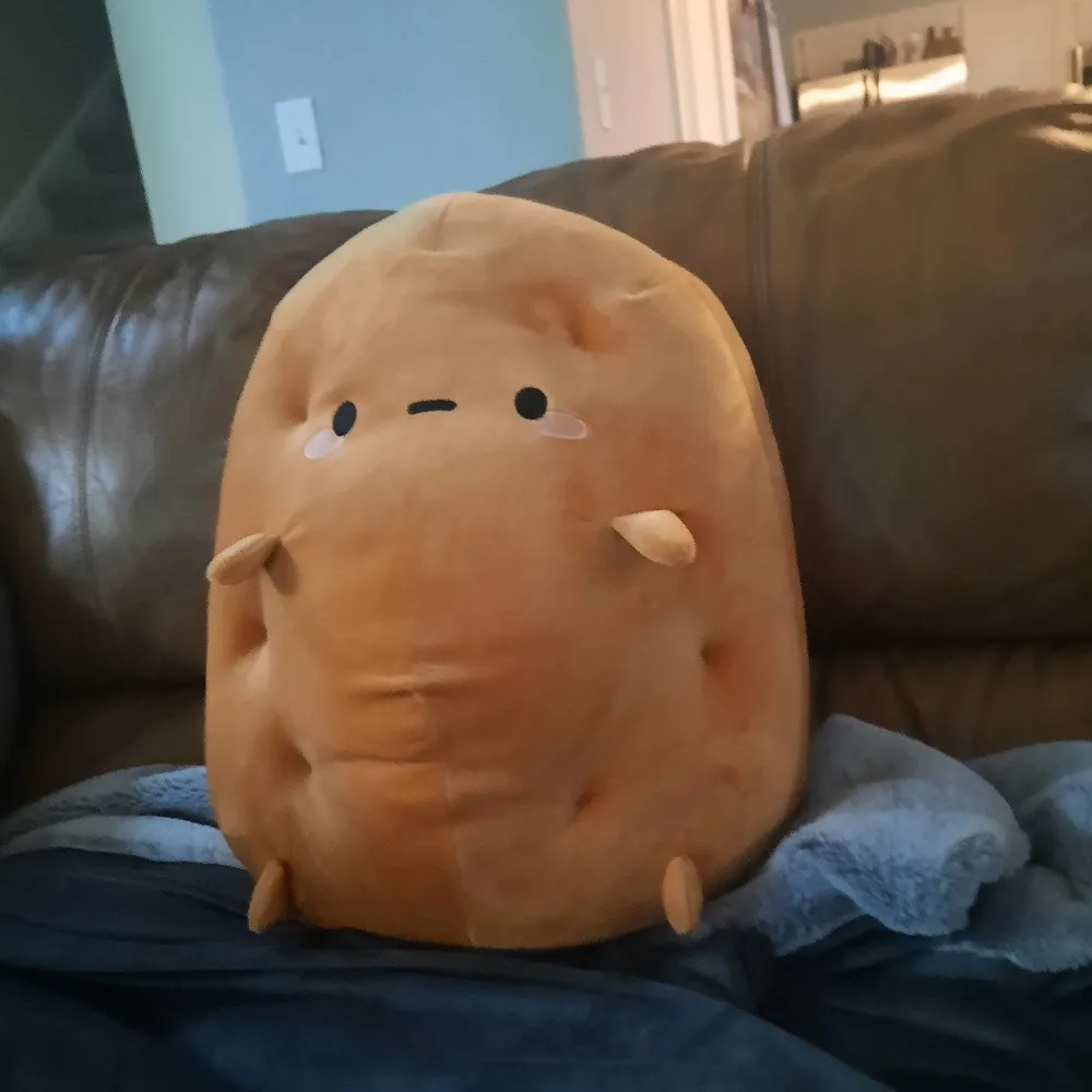 zipanmars.bsky.social's profile picture