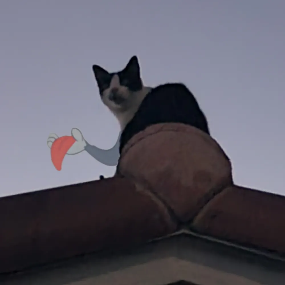 rareridesoncemore.bsky.social's profile picture