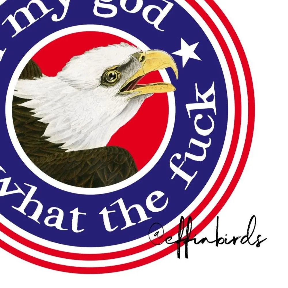 greenjoel.bsky.social's profile picture