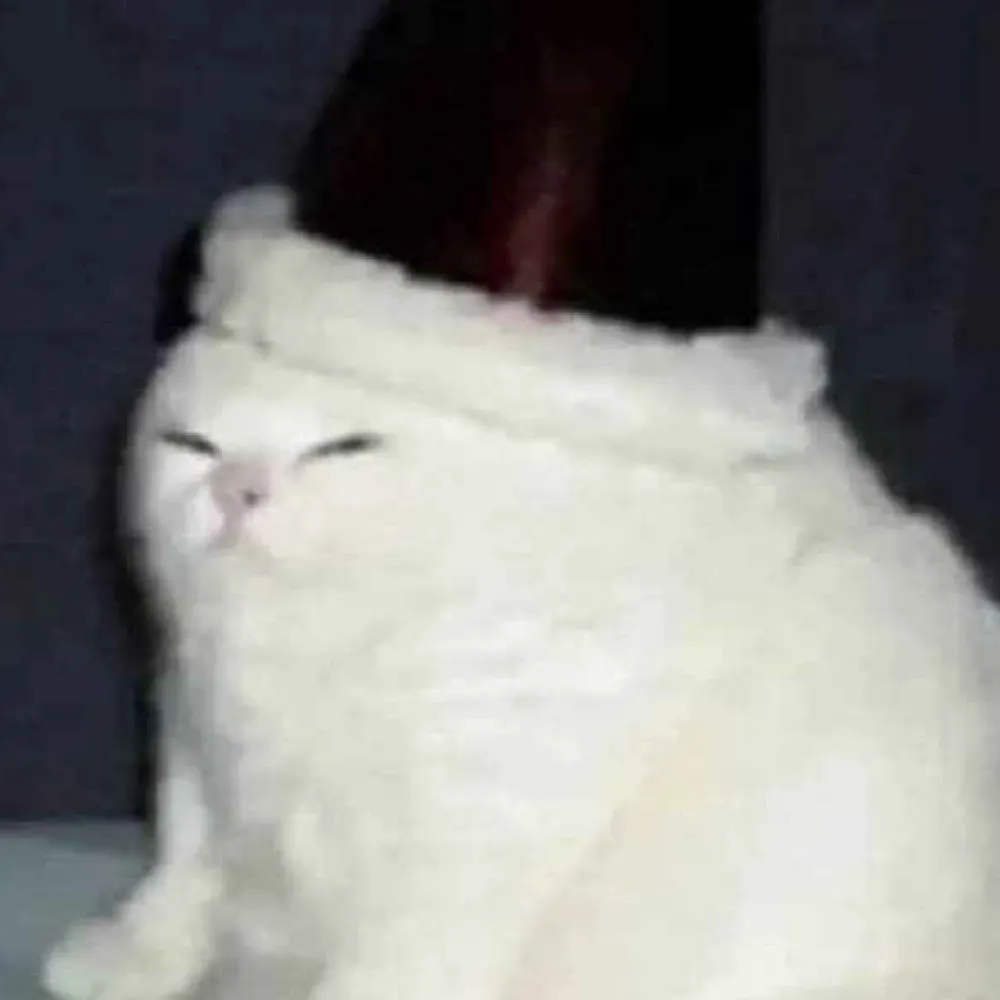 quixoticism.bsky.social's profile picture