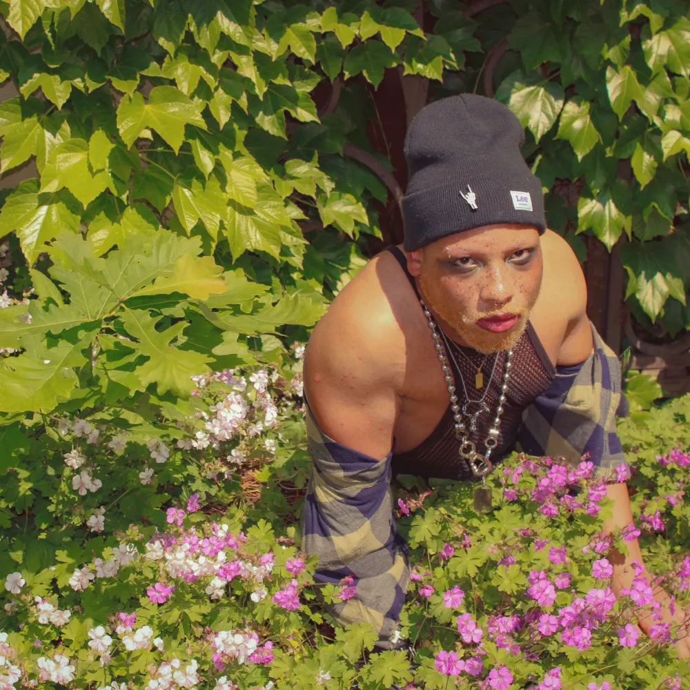 daemonicseed.bsky.social's profile picture